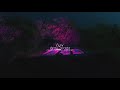 Demi Lovato Cool For The Summer Slowed Reverb