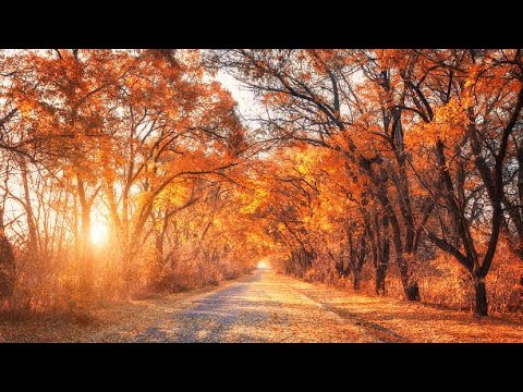 Manu Negrea | Isus Isus,ce nume mare