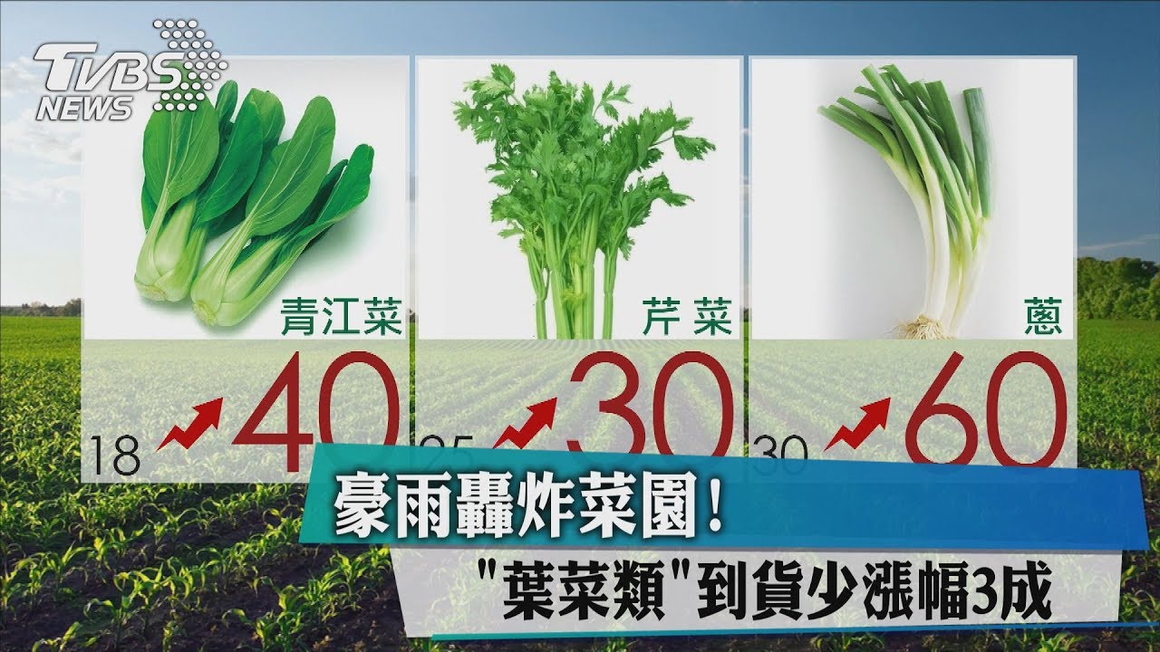 豪雨轟炸菜園！　葉菜類到貨少漲幅3成