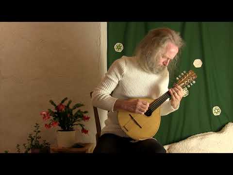 Es ist ein' Ros' entsprungen (Michael Praetorius) - Toomas Rannu (Mandoline) #mandolin #christmas