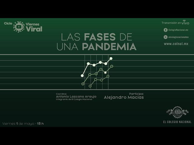 Las fases de una pandemia