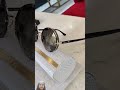 New Jimmy Choo Sunglasses ️ ️ Shorts Viral Trendy Fashionsunglass