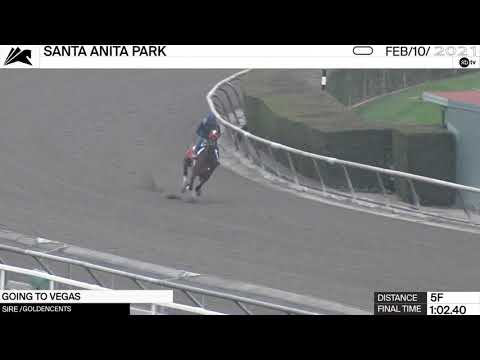 Preview of the Grade II Buena Vista Stakes at Santa Anita Park on February 20th, 2021.