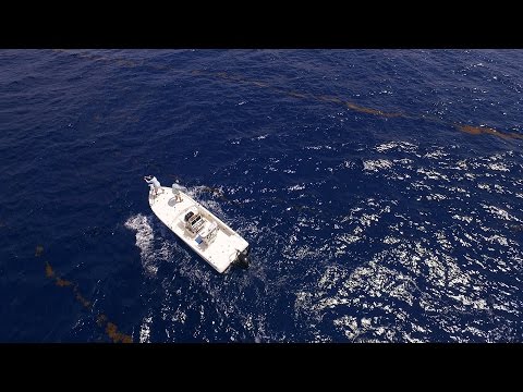 Reel Time Florida Sportsman - South Florida Dolphin, Wahoo and Tuna - Season 4, Episode 1 - RTFS