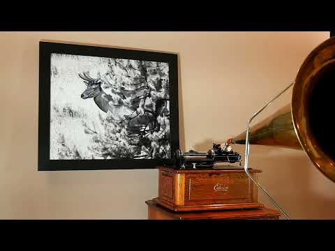 "Tango, "Spanish Rose" by Kaplan's Melodists on Edison Blue amberol Cylinder Record #4737