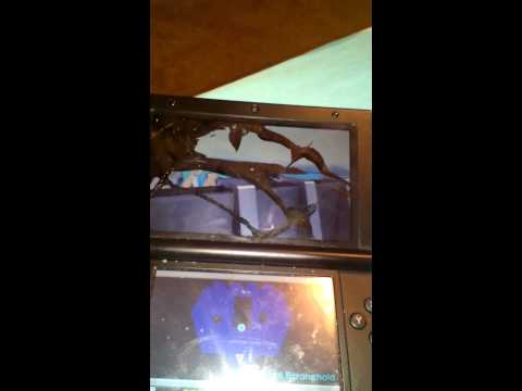 Pokemon Rumble Blast Ep.45 cobalion's fort part 1