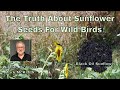The Truth About Sunflower Seed For Birds