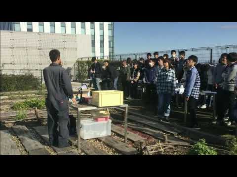 学科ニュース015 地域創成フィールド実習（一）（屋上菜園見学）