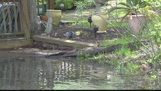 Rising water levels at Lake Murray impacts surrounding residents