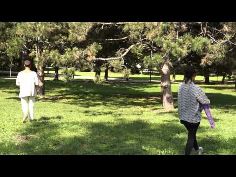 ARI 27 08 2013 1080p