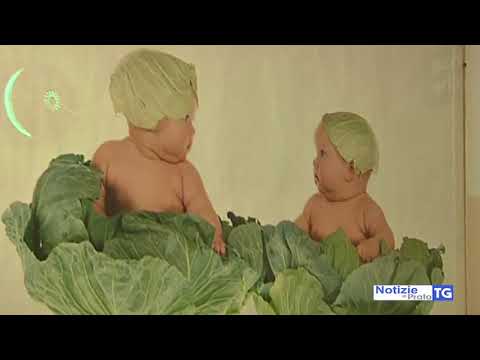 2018-07-10 PRATO - GINECOLOGI ARRESTATI, SOLO DUE RISPONDONO AL GIUDICE