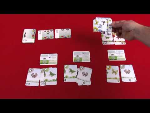The Butterfly Garden Preview - This Board Game Life