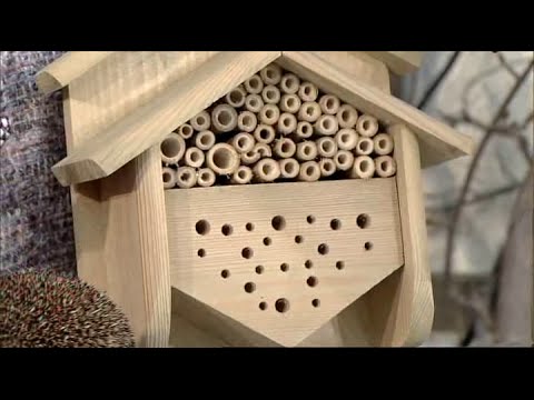 Marianne Jäger - Nützlinge Teil 1