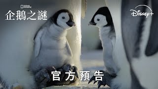 國家地理鉅獻 《#企鵝之謎》  4月21日 Disney+ 獨家上線