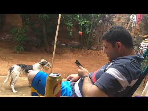 Só no whatsapp kkkkkk