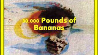 Harry Chapin- 30,000 Pounds of Bananas