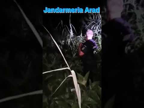 Misiune de salvare pe Mureș - barcă răsturnată la Milova