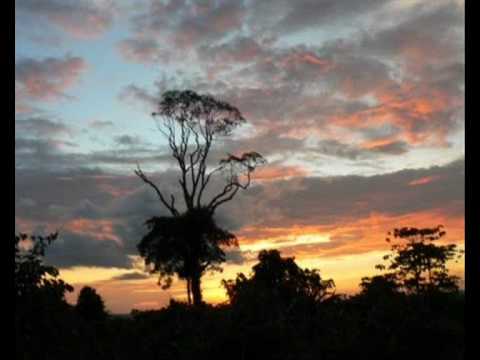 Tribal tech - Phil Moon aka V° - (1998)