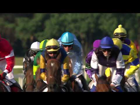 PE, 24. 7. 2020, 4. dostih - Cena hejtmana Pardubického kraje