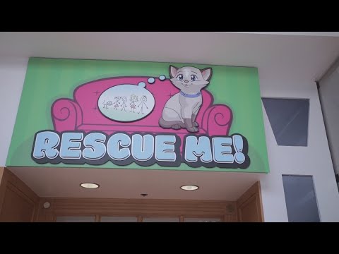 Daytime LIVE at Rescue Me pet adoption center-Part 1