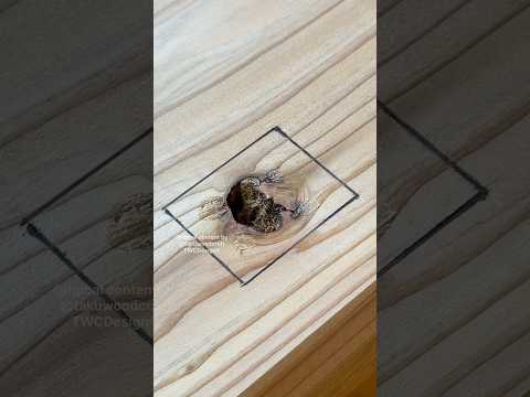 How to Patch a Knot with a Square Plug #shorts #woodworking #diy