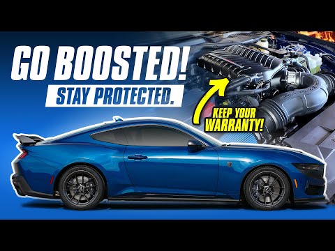 2024 Mustang Whipple Supercharger | Dyno Numbers & Ride Along (M-6066-M8800)