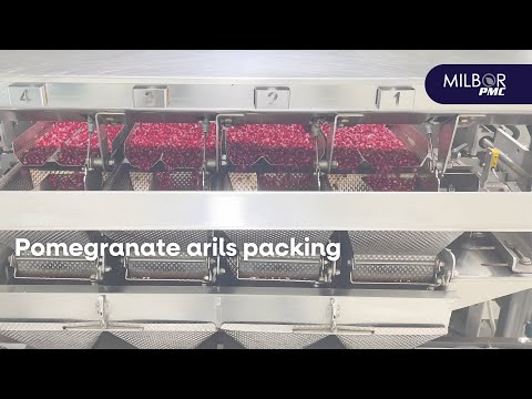 Pomegranate arils packing | Milbor PMC