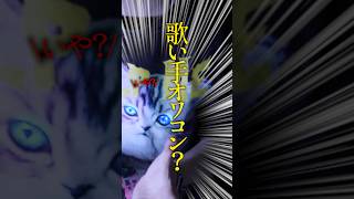 歌い手界隈の話 #cover #歌ってみた #歌わないでみた