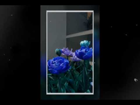 Emi x Andreea - Flori (Cover)