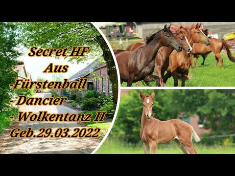 HF von Secret aus Fürstenball - Dancier - Wolkentanz II