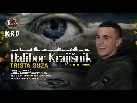 Dalibor Krajišnik - Trista suza (Audio 2022)