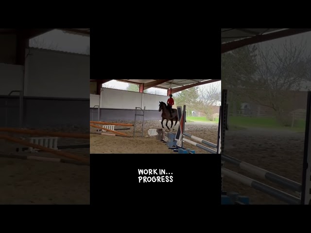 Cheval d&rsquo;avenir 