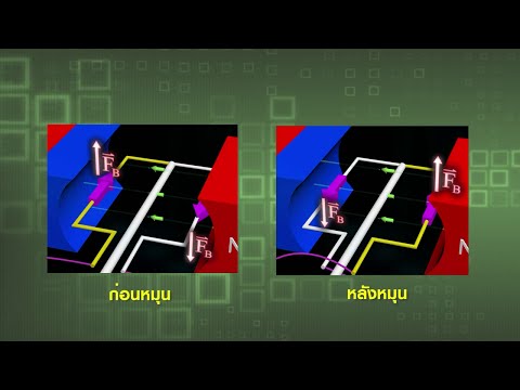 วางค้อนของการกระทำของพรู Potencies ใช้ได้กว่าราคาเคาน์เตอร์
