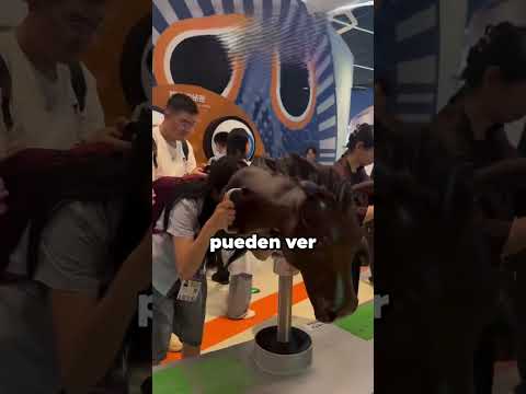 Así ven los animales