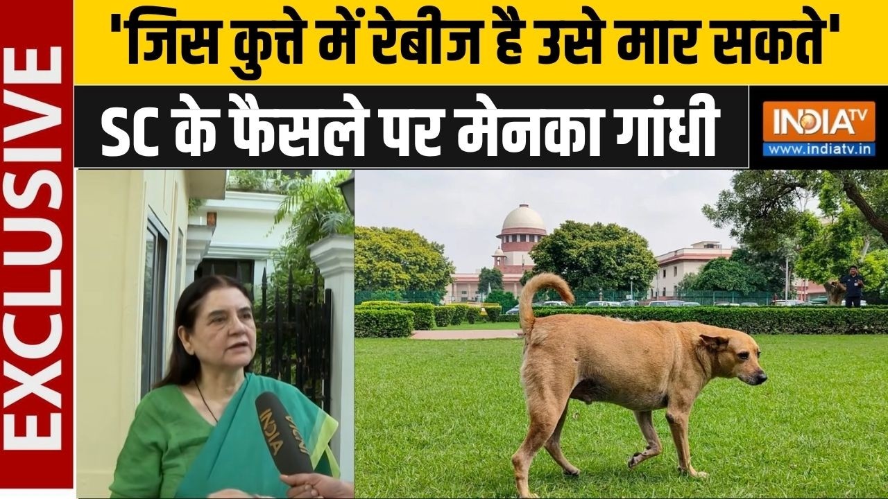 SC Order On Stray Dogs: 'जिस कुत्ते में रेबीज है उसे मार सकते' कोर्ट क