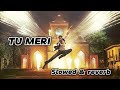 𝐓𝐔 𝐌𝐄𝐑𝐈 Slowed Reverb Trendingsong