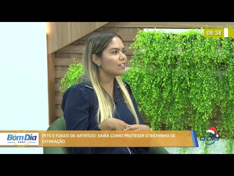 Veterinária explica como proteger animais de estimação dos fogos de artifício 27 12 2021