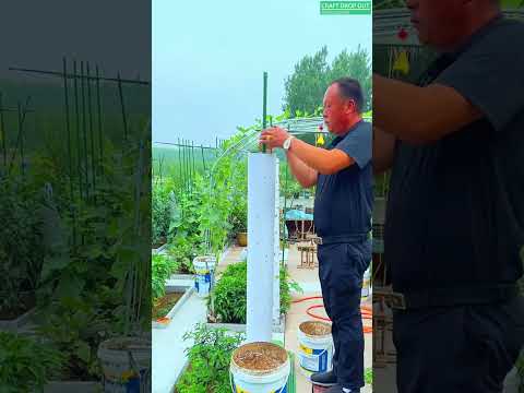 No Space Try Vertical Gardening!