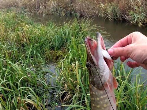Делаем жерлицу на щуку Зима Лето и тестируем на рыбалке