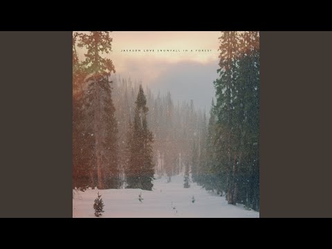 Love: Snowfall in a Forest