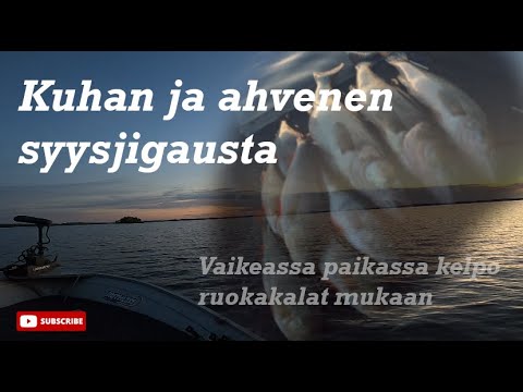 KALASTELLAAN KUHAA JA AHVENTA | SYKSYISTÄ JIGIKALASTUSTA K1/J42
