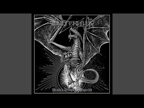 Wound in Night's Flesh