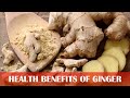 This Will Happen To Your Body If You Eat Ginger Every Day