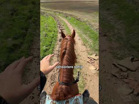En Akıllı Otopilot