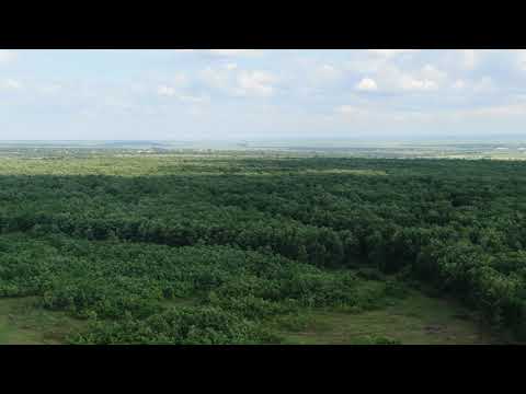 Oltenia văzută de sus Pădurea de bujori de la Plenița