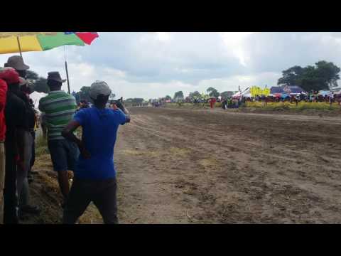 Namibian Horse Racing Maun Derby 2016-03-26. Black Market won 1200m in Botswana