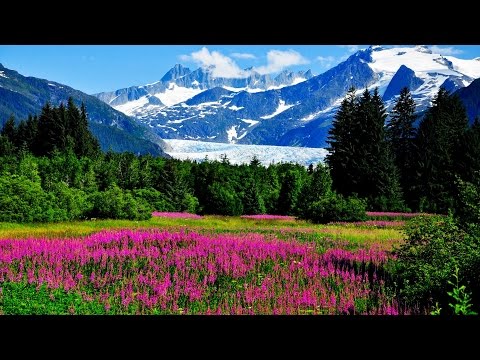 The Green Valleys of Home