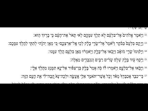 Torah auf Hebräisch lesen mit Dr. Chats.  4.Mose 22:12-22 - Balak.