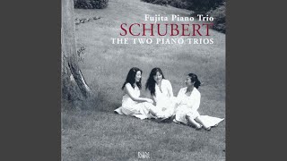 Download lagu Piano Trio No. 2 in E-Flat Major, Op. 100, D. 929: II. Andante con moto mp3