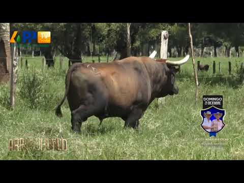 Los de Jerusalen para Arroyohondo 2025.